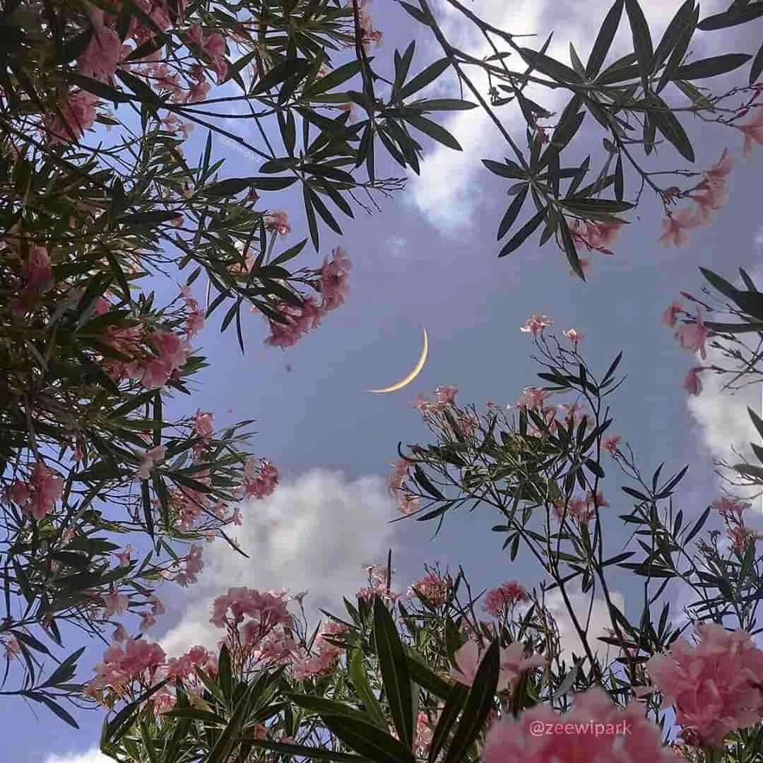 resetFields()方法重置表单无效的坑